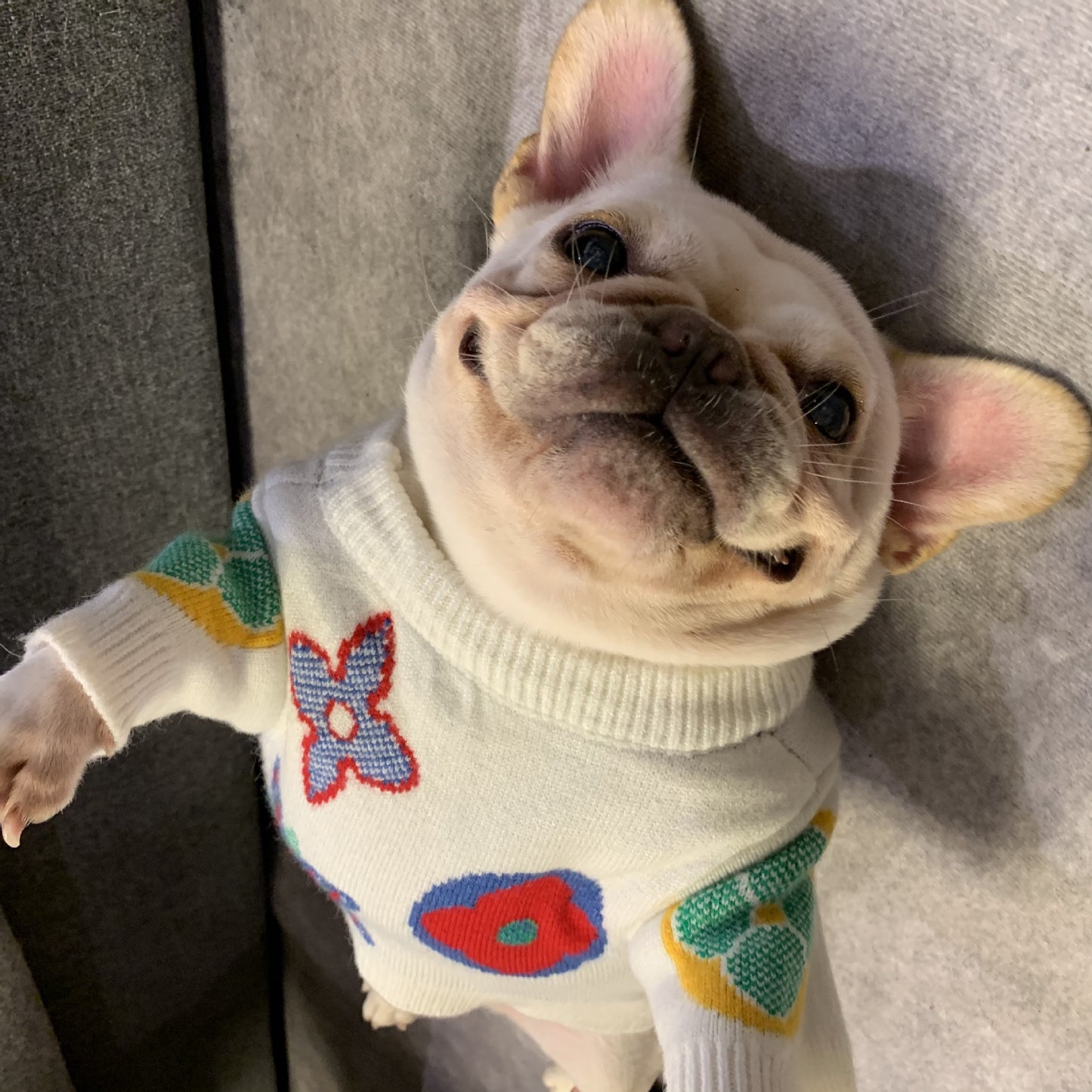 Pet Clothes Dog Cat Winter Sweater